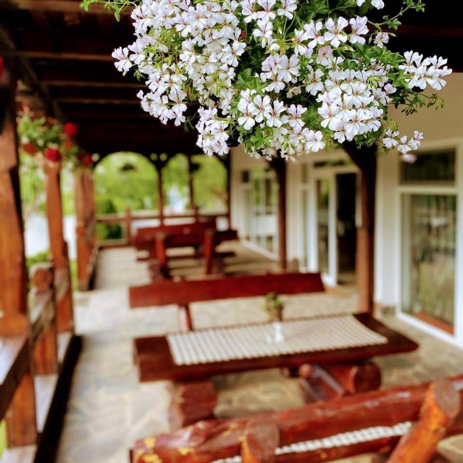 Pastravaria Alina Sirbi Luaran gambar